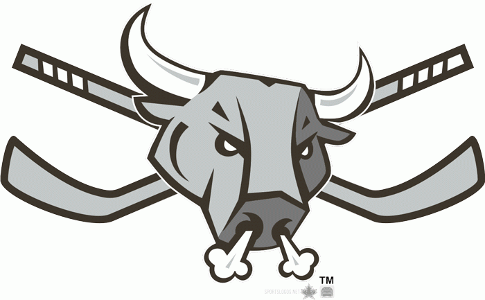 San Antonio Rampage 2007 08-Pres Alternate Logo iron on heat transfer